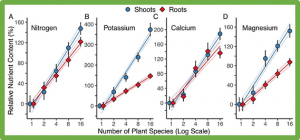 Plant biodiversity and the regeneration of soil fertility