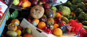 Technical Platform on the Measurement and Reduction of Food Loss and Waste - FAO