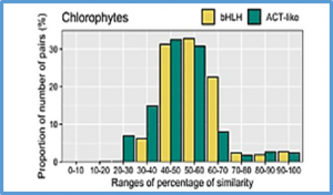 Evolution and diversification of the ACT-like domain associated with plant basic helix&ndash;loop&ndash;helix transcription factors