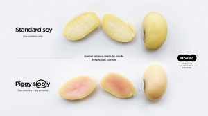 Soybean Seeds Produce Meat Protein