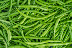 Researchers Fine-Tune CRISPR-Cas9 Gene Editing in Common Bean