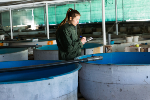 Nofima and Partners Propose Assessment Framework for Gene Editing in Aquaculture