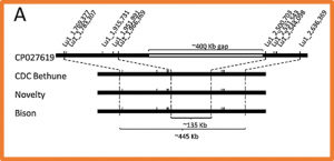 Fine mapping of a major locus for Fusarium wilt resistance in fax (Linum usitatissimum L.) 