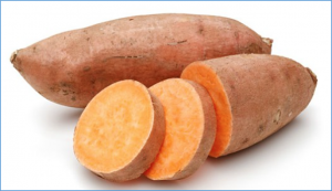 Effects of fermented sweet potato residue on nutrient digestibility, meat quality, and intestinal microbes in broilers