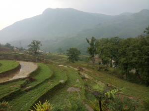 Nature-Positive Solutions: Transforming Agrifood Systems for Resilience and Sustainability 