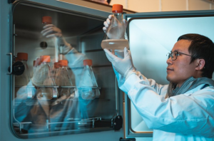 Researchers Discover Antibody that Blocks SARS-CoV-2 Infection in cells