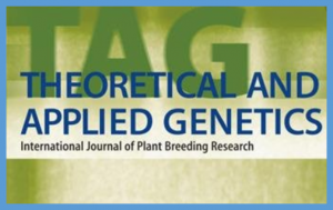 Strategies for eQTL mapping in allopolyploid organisms