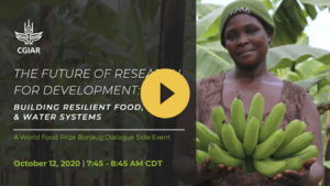 The future of research for development: building resilient food, land and water systems CGIAR News