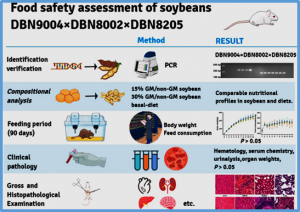 Food safety assessment of genetically modified soybean DBN9004&times;DBN8002&times;DBN8205 in a subchronic rodent feeding study