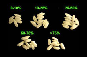 Mutation of TL1, encoding a novel C2H2 zinc finger protein, improves grains eating and cooking quality in rice