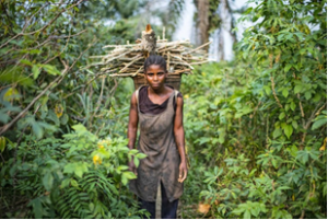 Why gender matters in forest restoration