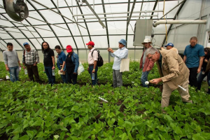 A wild bean`s genes may help a key crop thrive on a hotter Earth