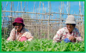 Stronger together: The power of farmers` organizations