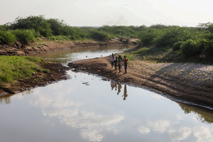 FAO and UK launch anticipatory action to reduce El Ni&ntilde;o&rsquo;s impact on at-risk communities in Somalia
