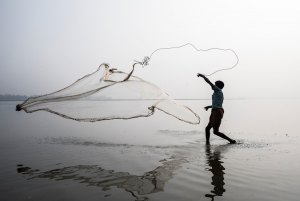New Action Plan launched for implementing FAO Strategy on Mainstreaming Biodiversity Across Agricultural Sectors as biodiversity-related projects approved 