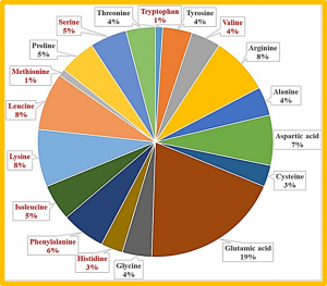Soybean genetic resources contributing to sustainable protein production