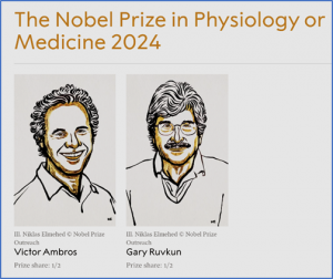 Nobel Prize Honors Scientists Who Discovered MicroRNA