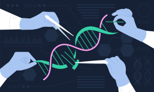 Gene Editing Market Value to Reach USD 17.5 B by 2031