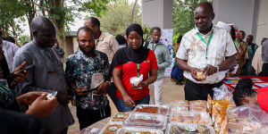 Unlocking the potential of underutilized legumes: IITA-CGIAR and SUL lead strategic conference for sustainable agricultural innovation