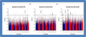 Identification of Superior Alleles for Seedling Stage Salt Tolerance in the USDA Rice Mini-Core Collection.