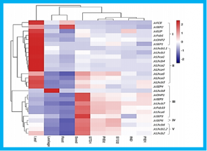 Light-harvesting chlorophyll a/b-binding protein-coding genes in jatropha and the comparison with castor, cassava and arabidopsis.
