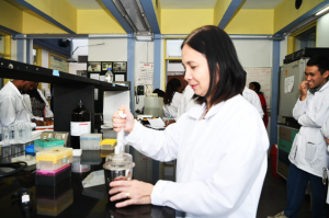 Creating a Network of Aflatoxin Management Champions in the Global South