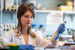 Researchers Engineer a Rapid TALEN Assembly Protocol for Genome Editing
