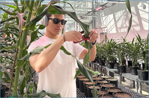University of Nebraska&ndash;Lincoln Team Develops Technique to Speed Up Corn Gene Identification