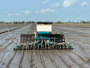 Vietnam`s MARD endorses Mechanized Direct Seeding combined with Fertilizer Deep Placement as an advanced technology for rice cultivation