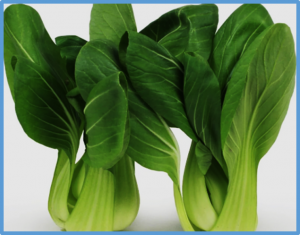 BrCYP71 mutation resulted in stay-green in pak choi (Brassica rapa L. ssp. chinensis)