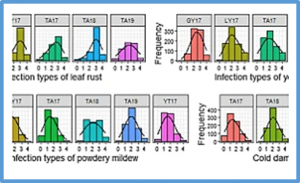 High-resolution genome-wide association study and genomic prediction for disease resistance and cold tolerance in wheat