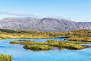 FAO leads the way to clearer peatland mapping and monitoring