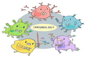 A molecular roadmap to the plant immune system