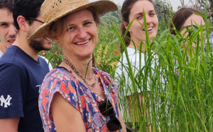 Italy Launches First Field Trial of Gene-Edited Risotto Rice