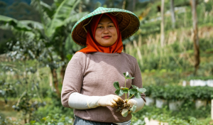 Global Environment Facility approves $68 million for agrifood systems solutions