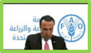 High-level roundtable calls for strengthened collaboration in the Near East and North Africa