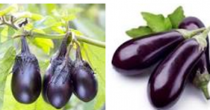 Spectrophotometric and Smartphone-Assisted Determination of Phenolic Compounds Using Crude Eggplant Extract.