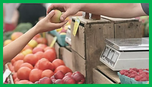 Study Reveals Experts` and Public`s Attitude Towards Gene-edited Crops
