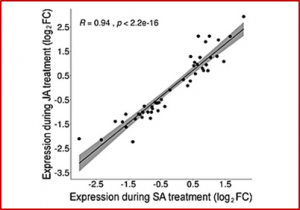 Genome-wide analyses of cassava Pathogenesis-related (PR) gene families reveal core transcriptome responses to whitefly infestation, salicylic acid and jasmonic acid 