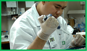 Harnessing rice genetic diversity to accelerate impact