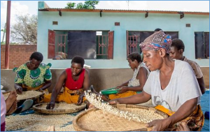 Act now to address Malawi`s looming food crisis