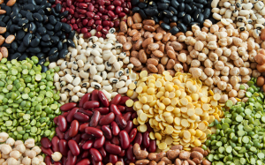 Researchers Discover Zinc`s Role in Nitrogen Fixation of Legumes