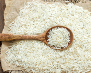 Nanopore sequencing-based genome assembly and evolutionary genomics of circum-basmati rice