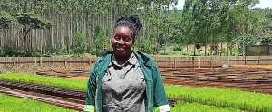 FAO and EU launch 15 million euro project to boost sustainability of Uganda&rsquo;s forestry sector