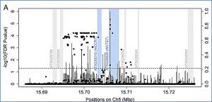 Genome-wide association identifies a missing hydrolase for tocopherol synthesis in plants