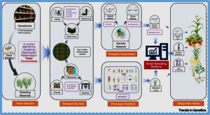 Improving plant breeding through AI-supported data integration
