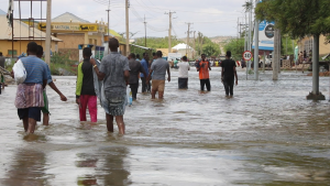 FAO calls for anticipatory action to safeguard lives and livelihoods in Somalia ahead of El Ni&ntilde;o