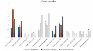 Identifcation of KASP markers and candidate genes for drought tolerance in wheat using 90K SNP array genotyping of near isogenic lines targeting a 4BS quantitative trait locus