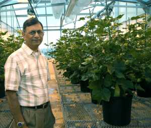 The Impact of RNAi Technology in Transforming Agriculture