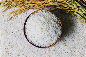 PhilRice Study Pinpoints Low-GI Rice Varieties for Diabetics